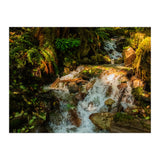 Baker Waterfall (Print Only) thumbnail