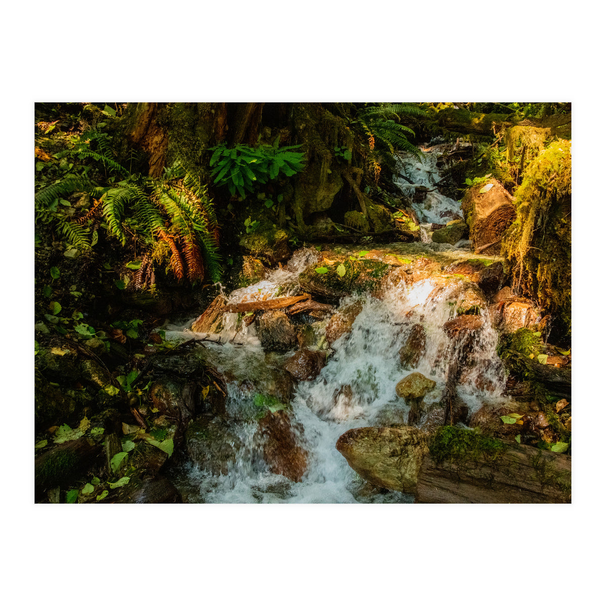 Baker Waterfall (Print Only)
