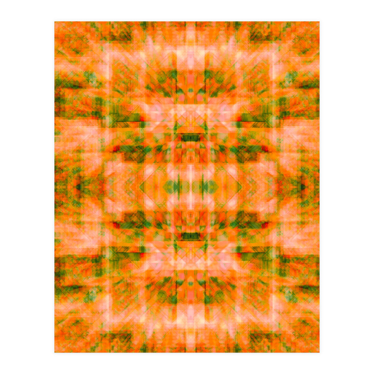 Digital Evolution 2 (Print Only)