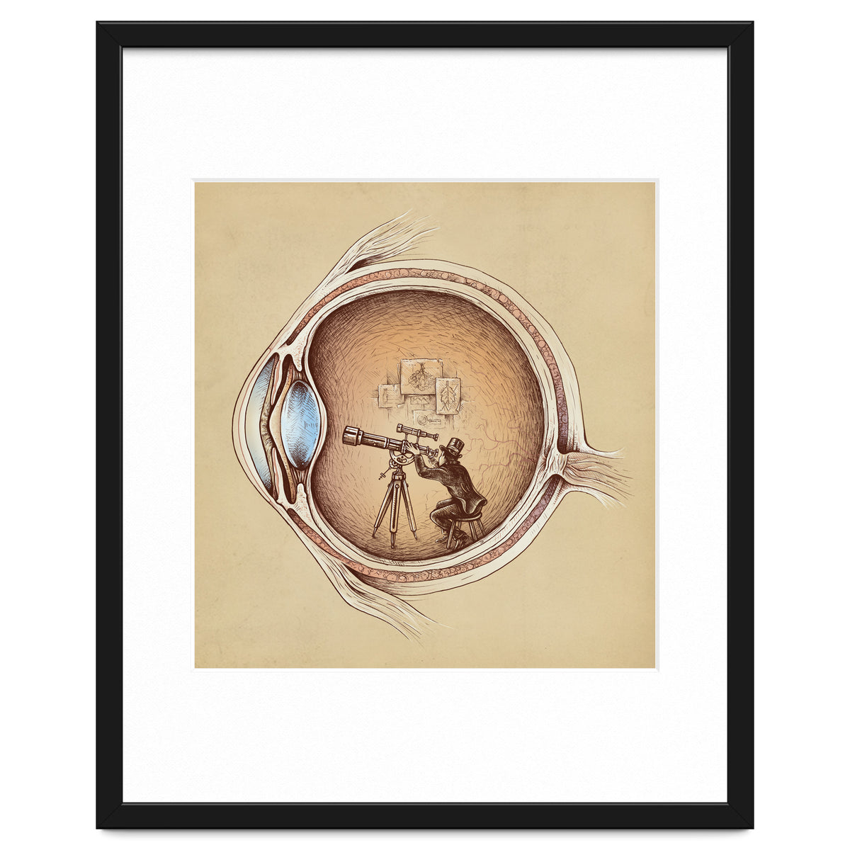 Extraordinary Observer