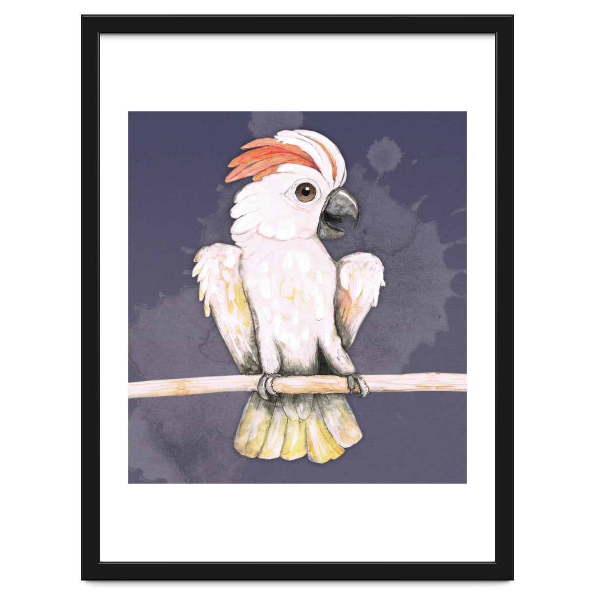 Salmon-crested cockatoo