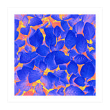 Supercontrast (Print Only) thumbnail