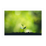 Plant in Nature (Print Only) thumbnail