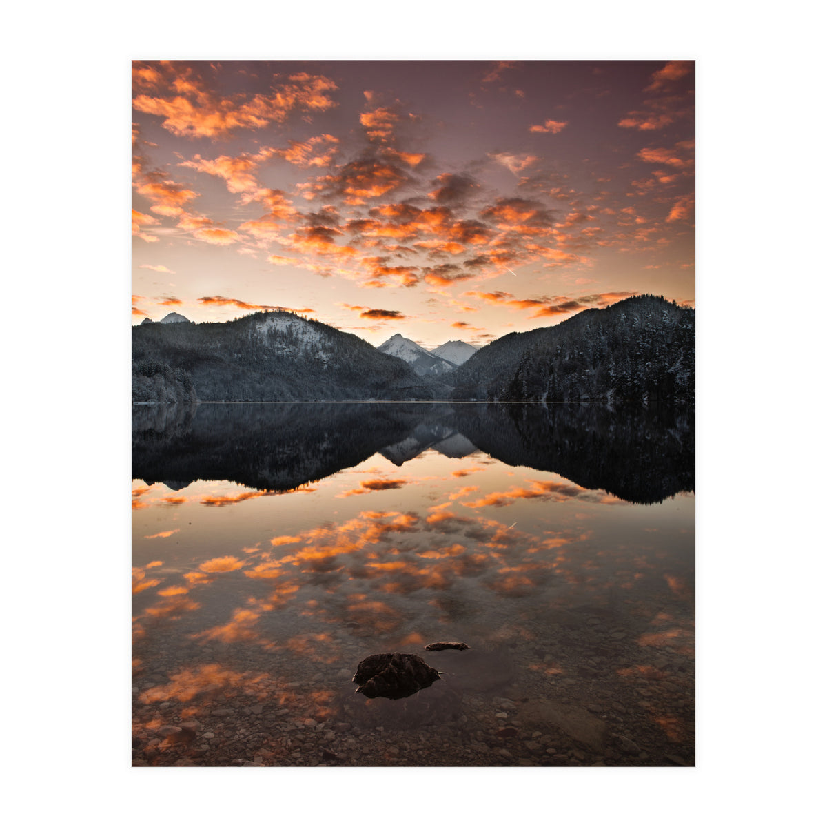 Magestic (Print Only)