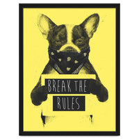 Rebel Dog Yellow