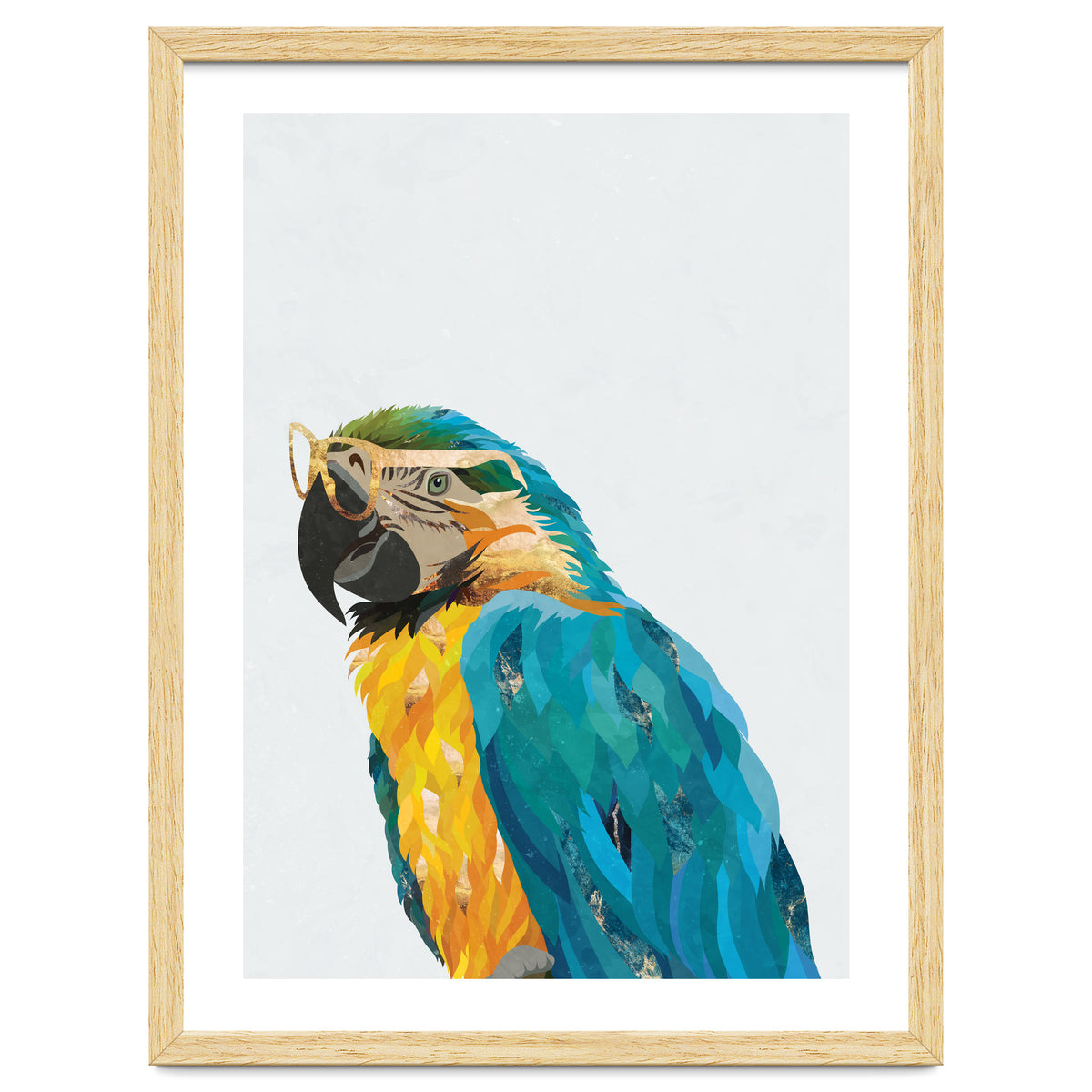 Macaw Portrait wearing gold glasses