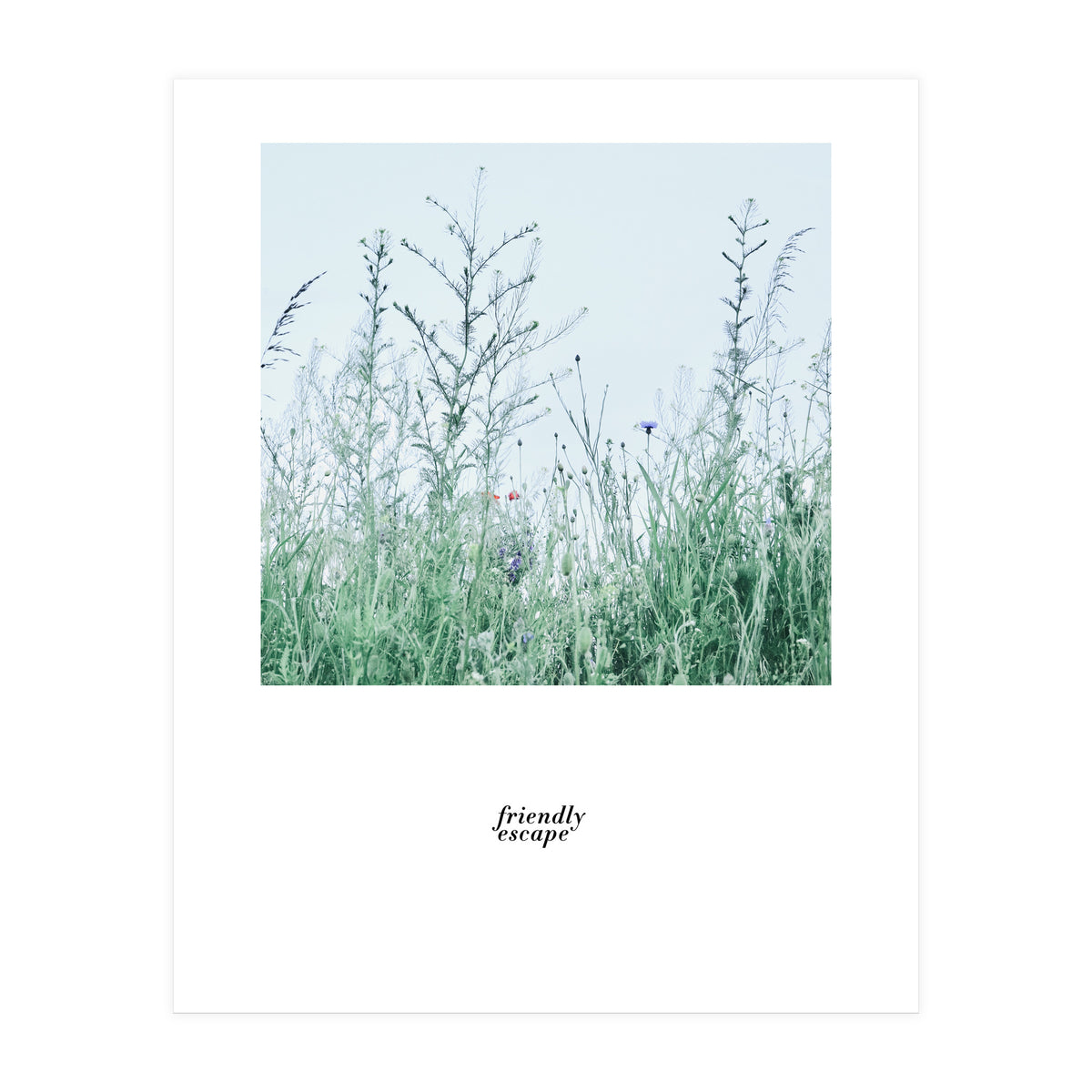 Friendly escape - Nature Photography - (Print Only)