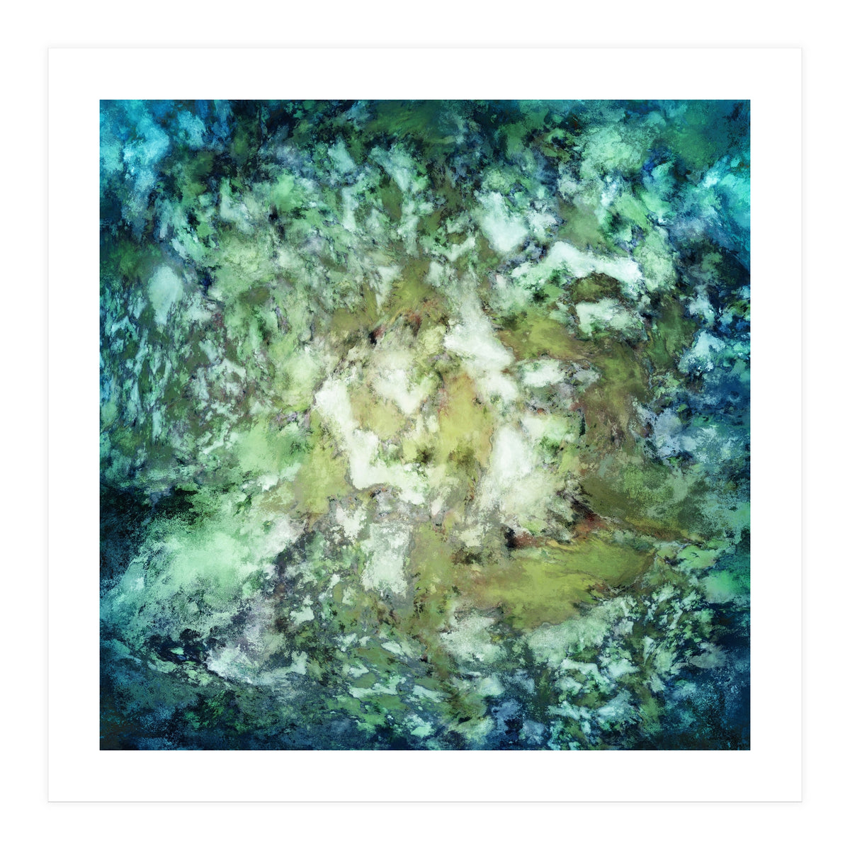 Observation (Print Only)