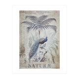 Peacock Jungle (Print Only) thumbnail