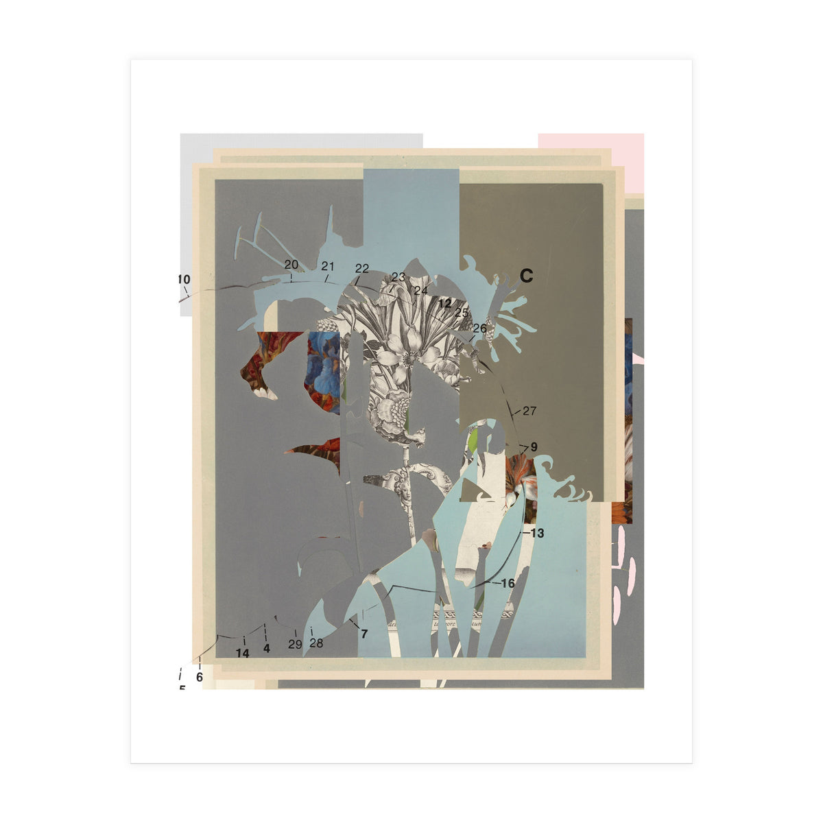 The First Plant · D (Print Only)