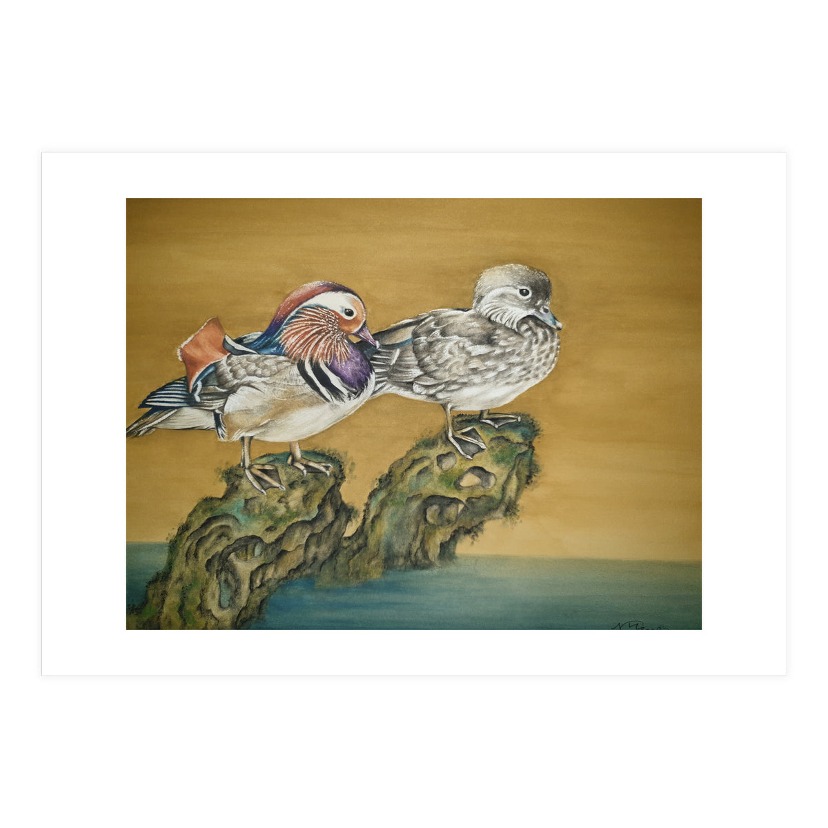 Mandarin Ducks (Print Only)