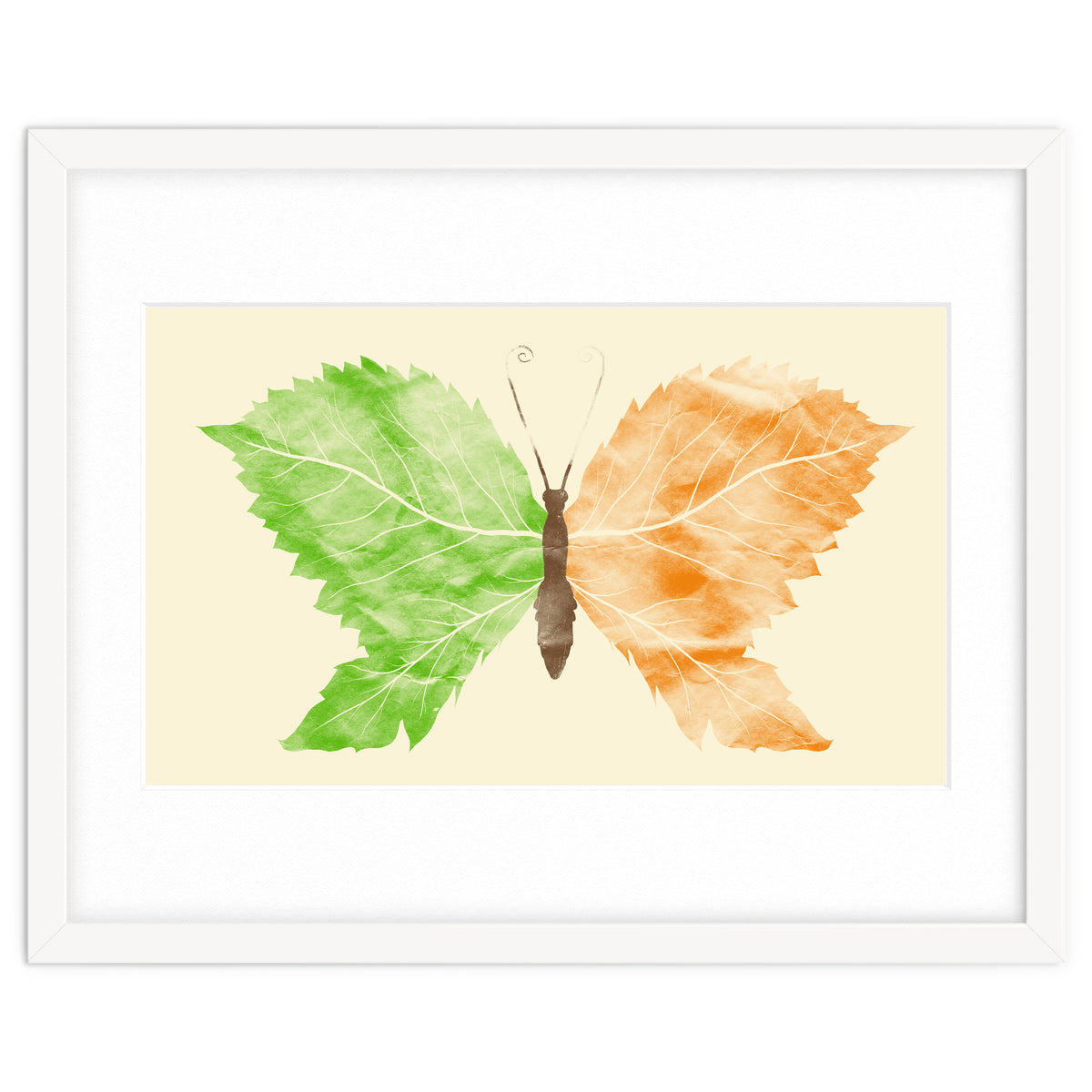 Seasons Change Time Flies