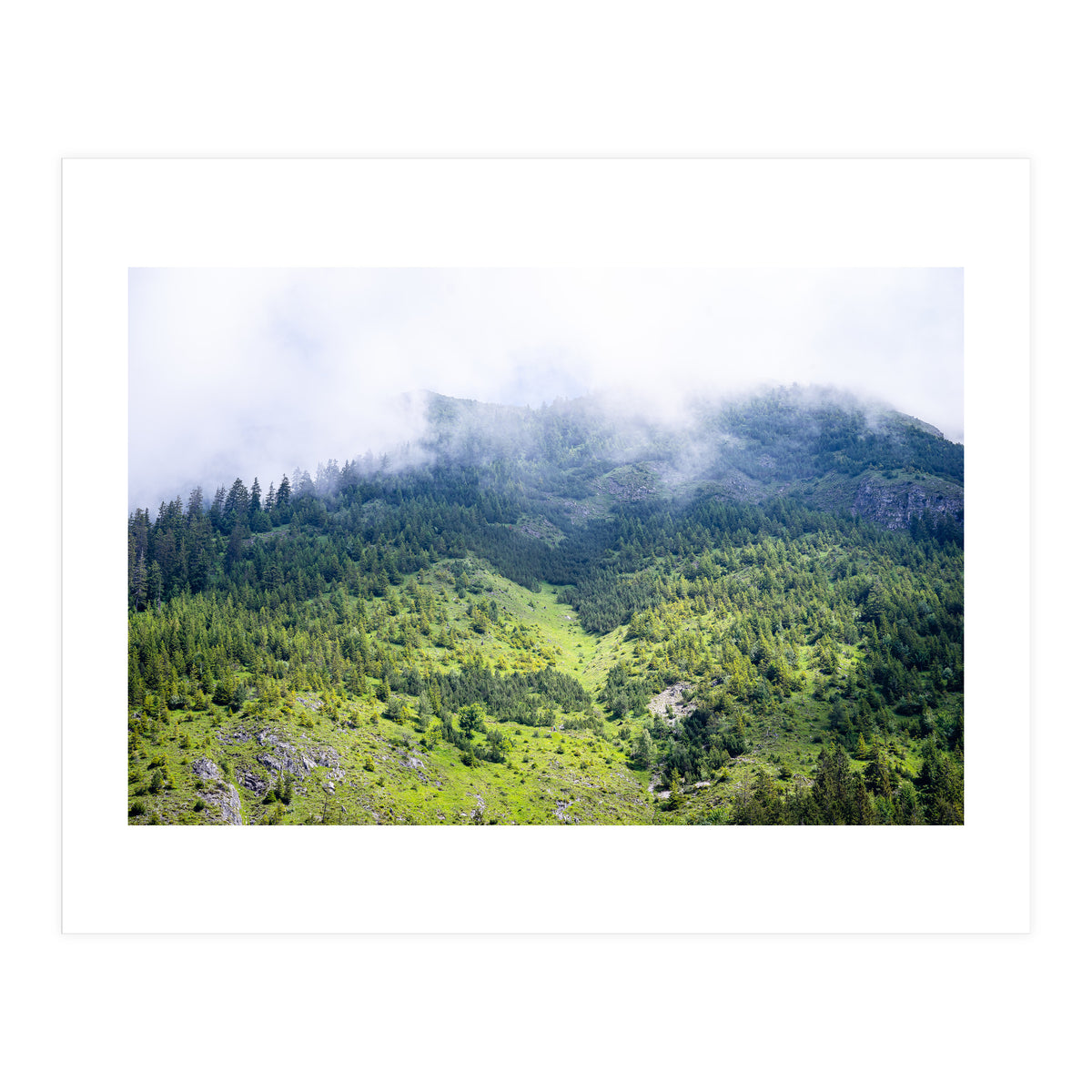 Ascension (Print Only)