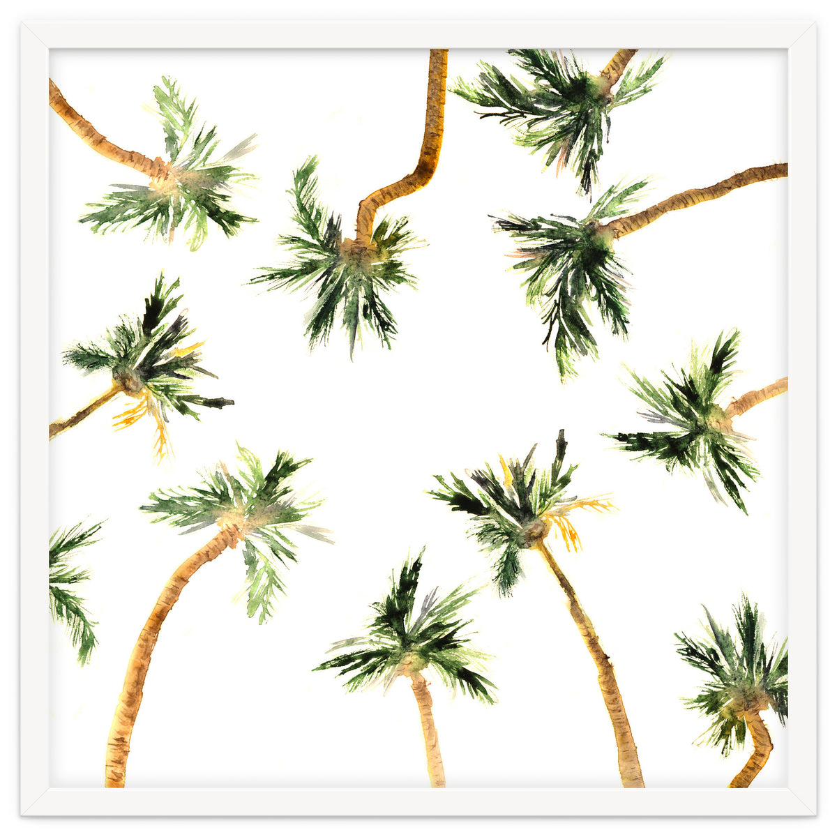 Under the coconut palms || watercolor