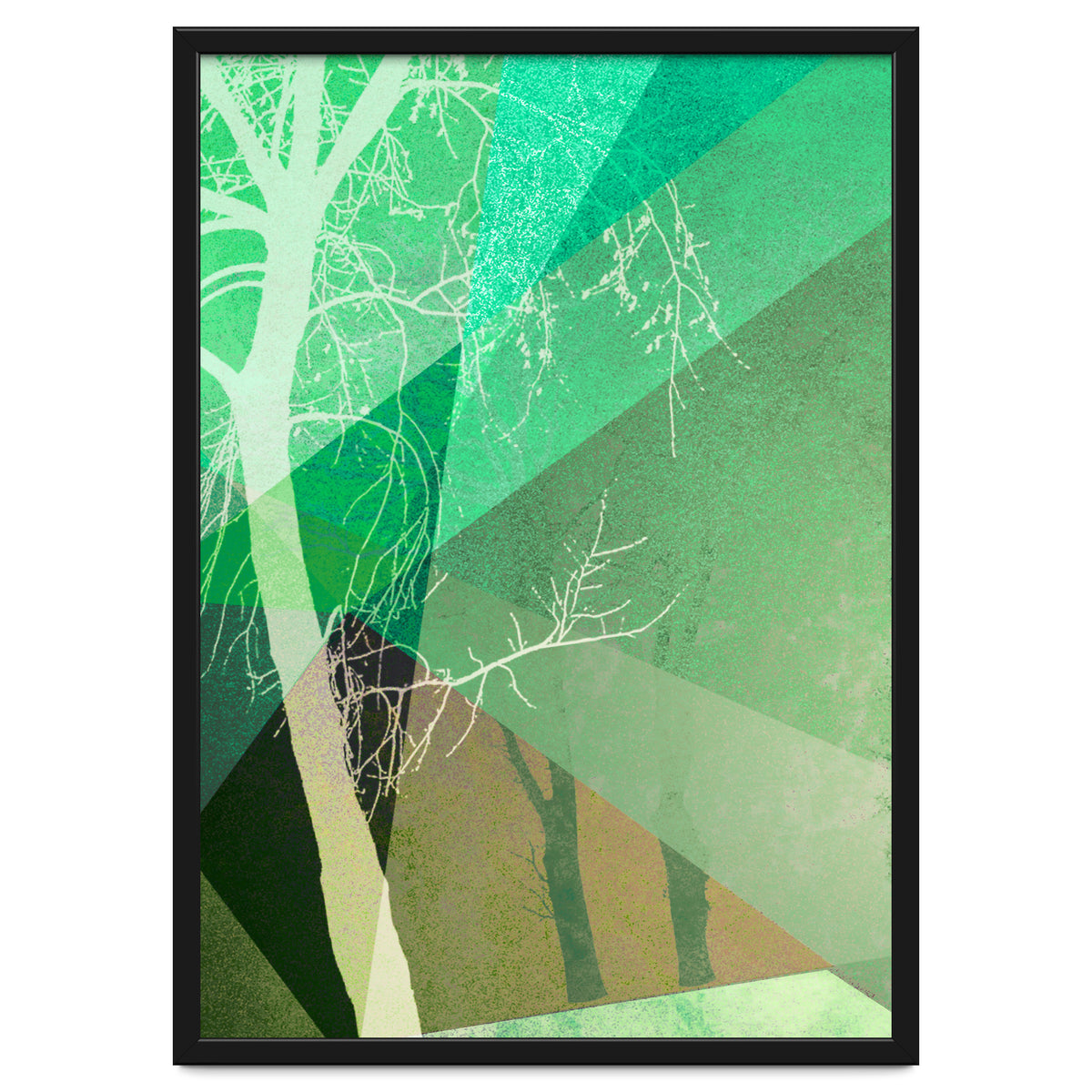 P22-B6 Trees And Triangles