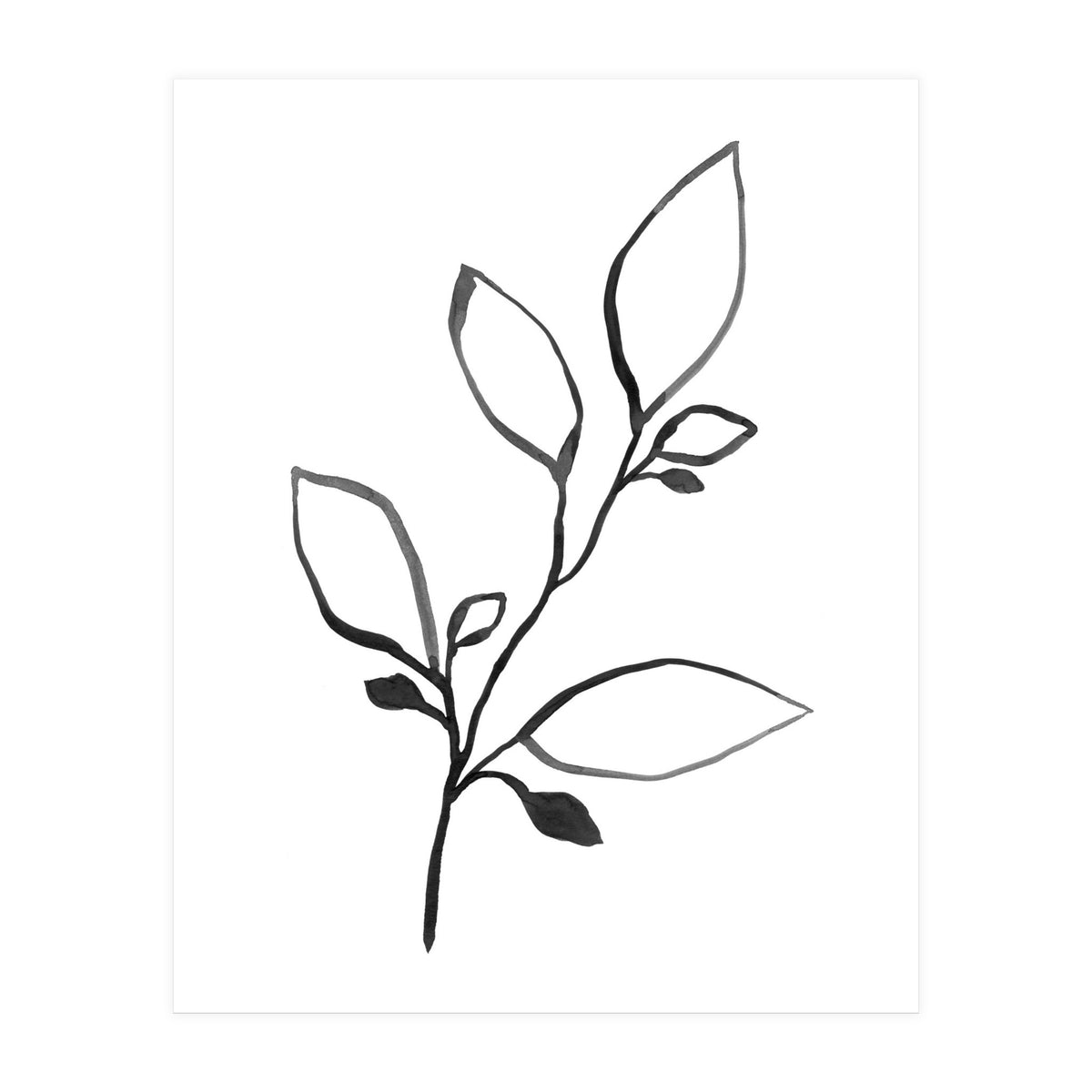 Ink Plant (Print Only)