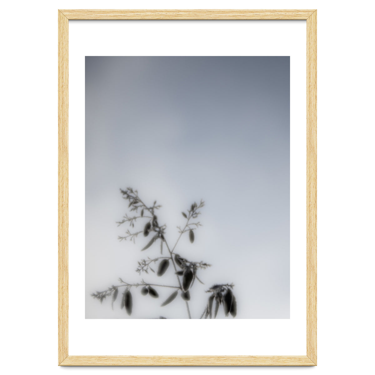 Forgotten Memories of Summer #17