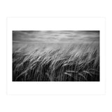 Moody Barley Field (Print Only) thumbnail