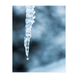 MELTING ICE - Spring is coming! (Print Only) thumbnail