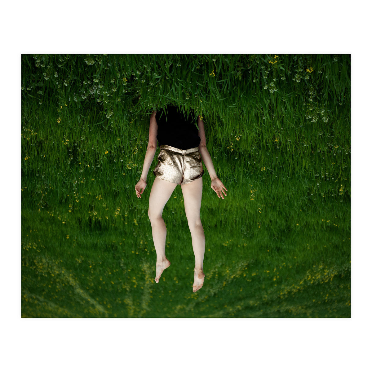 Gravity (Print Only)