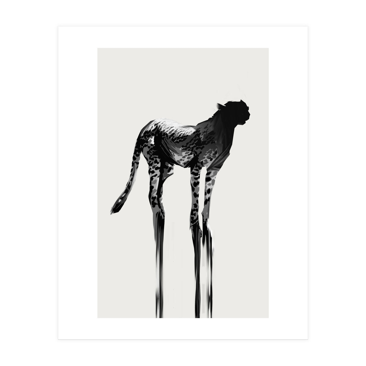 Cheetah  (Print Only)