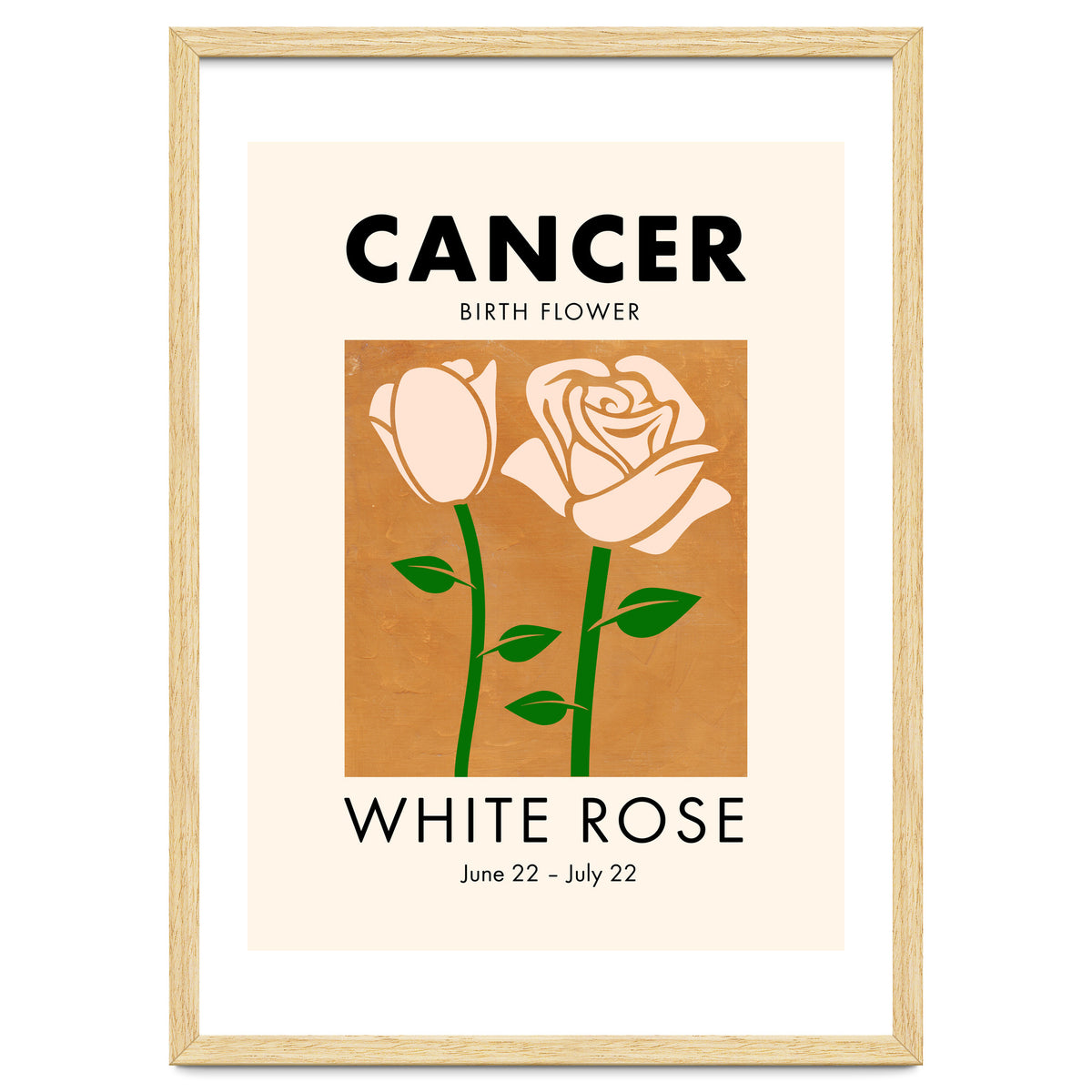 Cancer Birth Flower White Rose