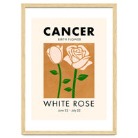 Cancer Birth Flower White Rose