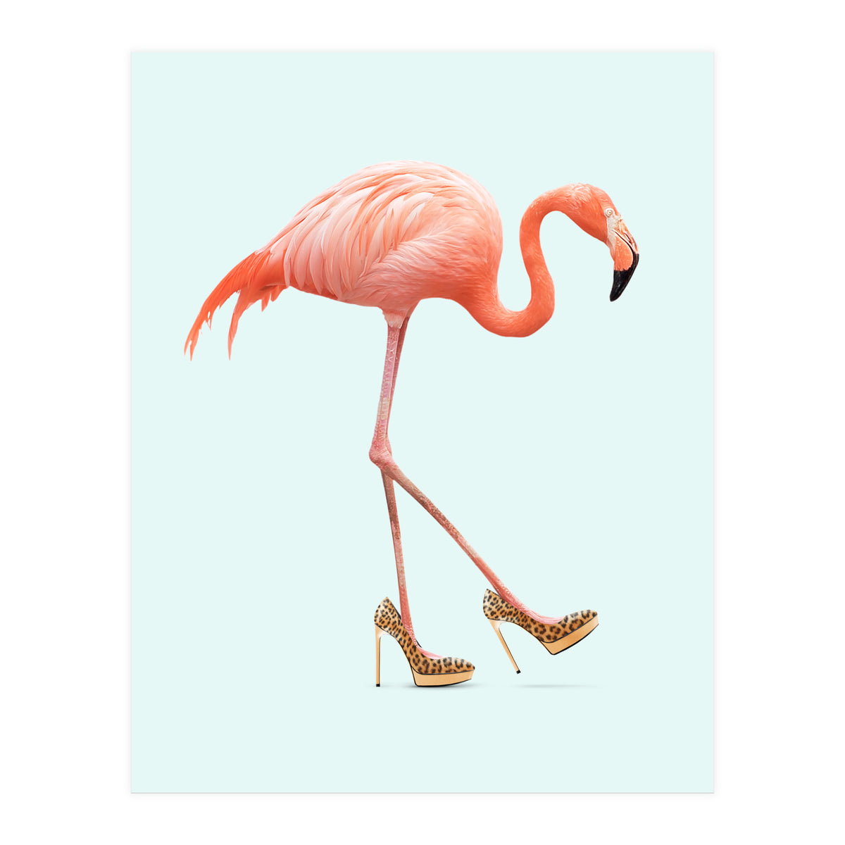 Fancy Flamingo (Print Only)