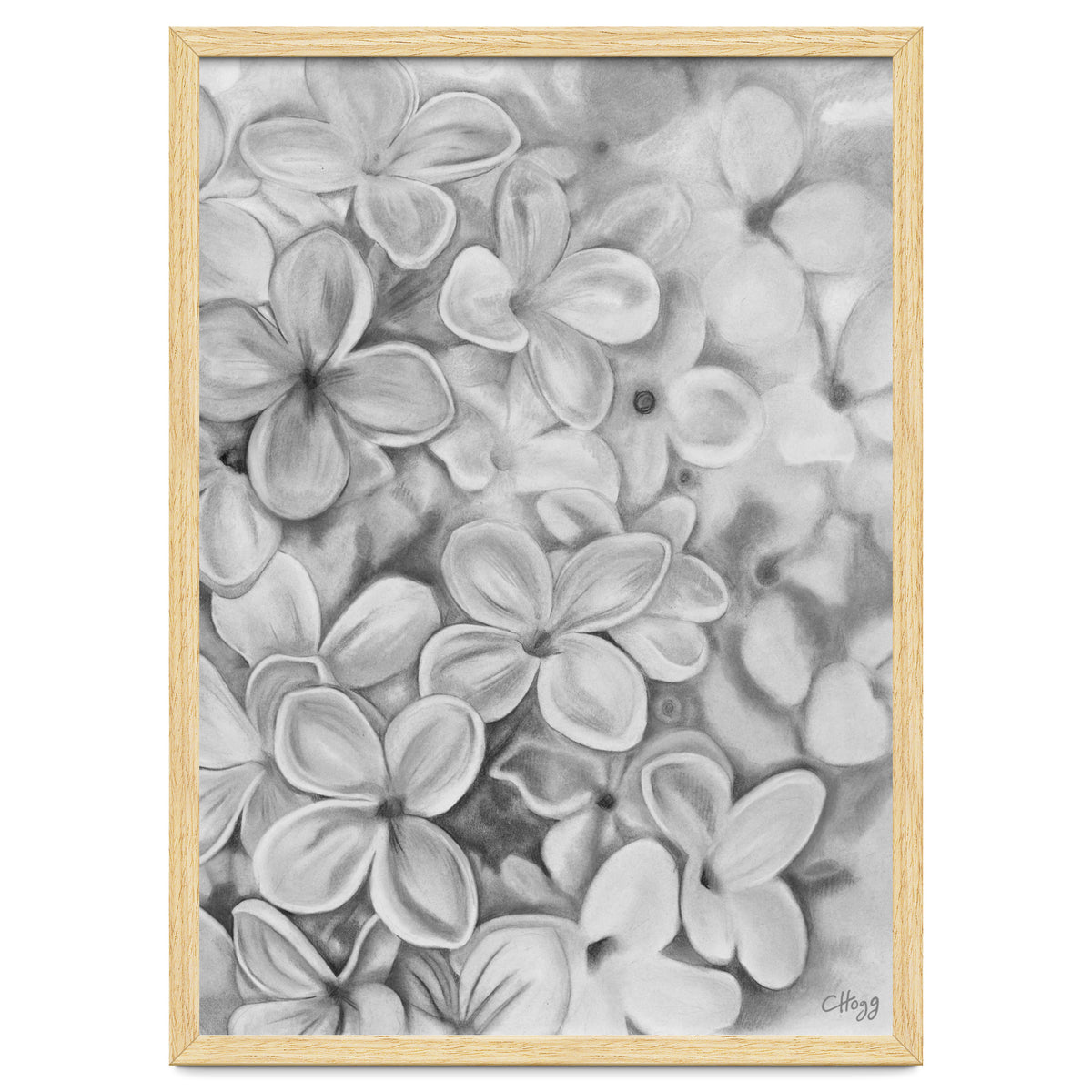 The Essence Of Spring in Monochrome