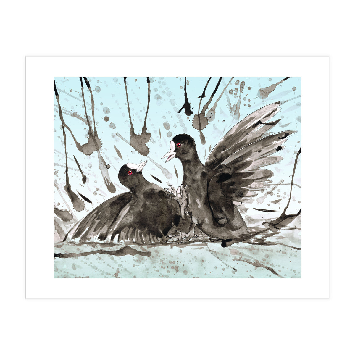 Fighting coots (Print Only)