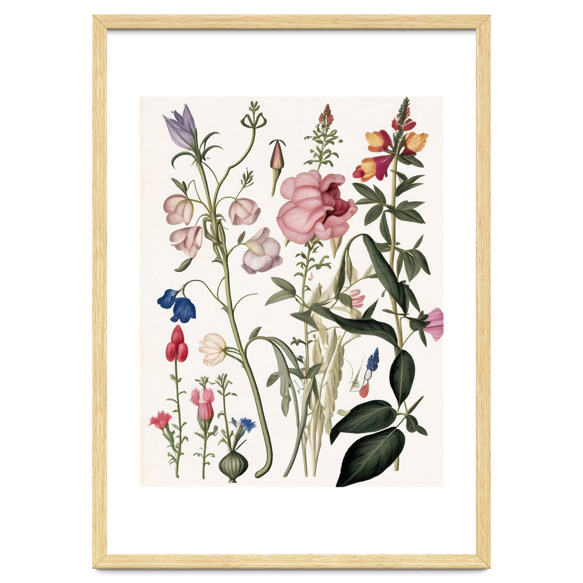 Flowers Botanical Vintage Illustration
