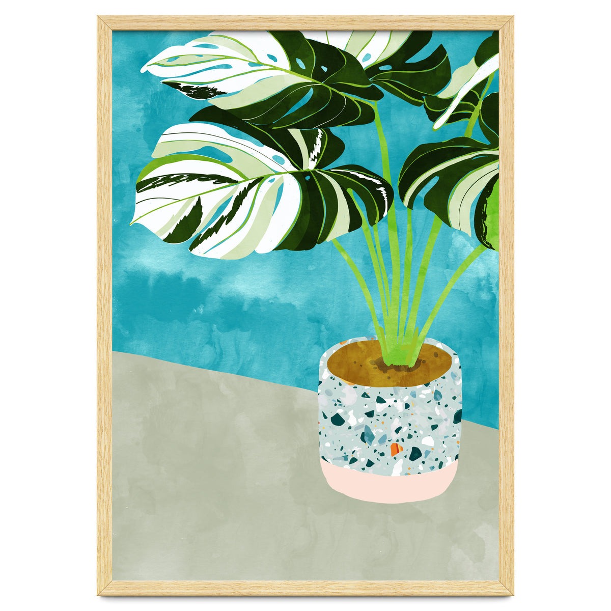 Variegated Monstera