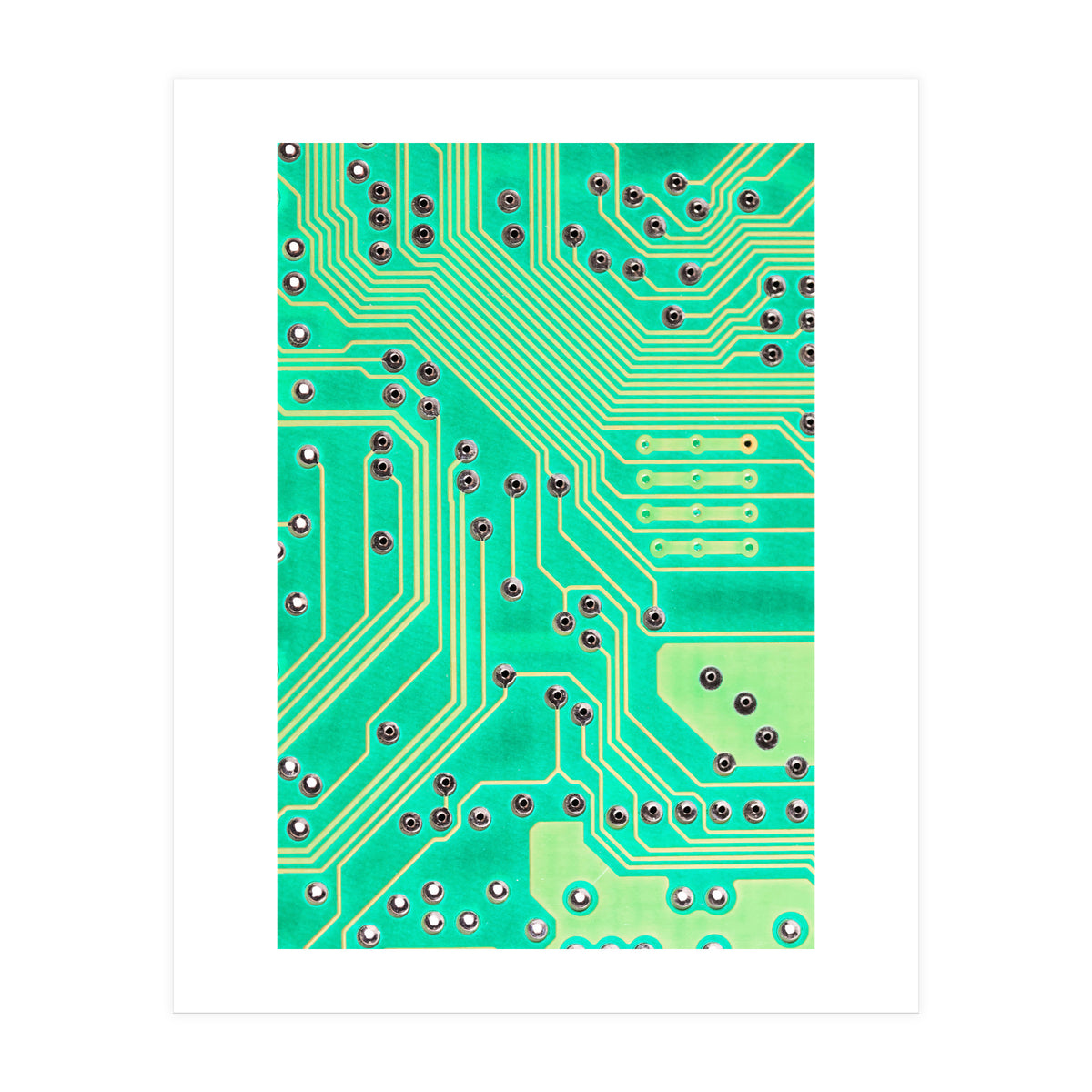 Connections (Print Only)