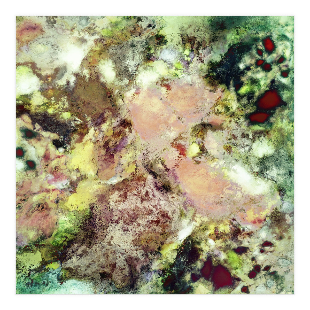 Sugar Coated (Print Only)