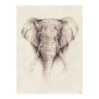 Elephant (Print Only)