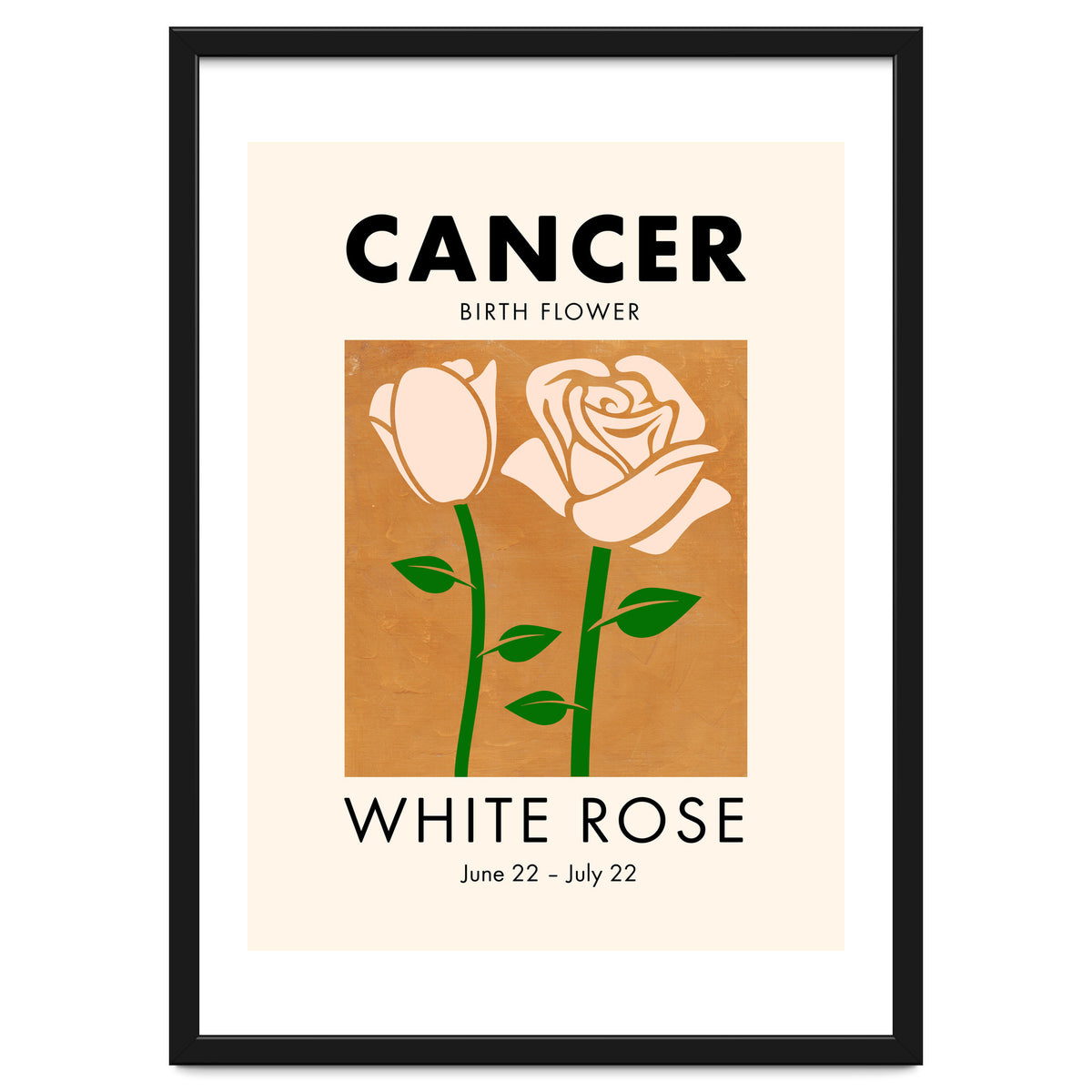 Cancer Birth Flower White Rose