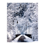 Snowy Bridge (Print Only) thumbnail