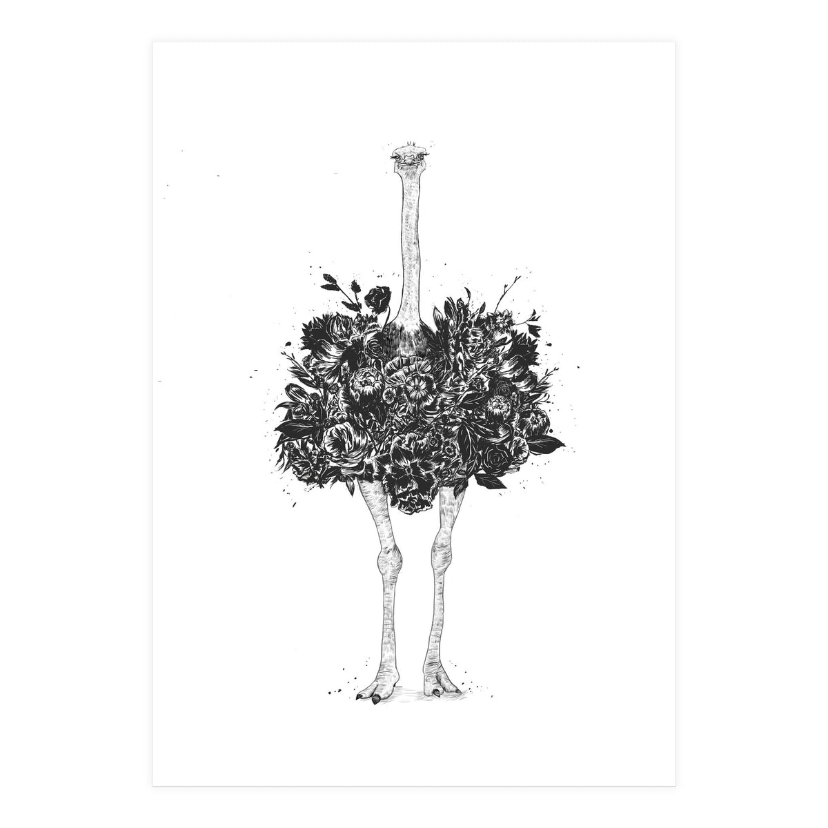 Floral Ostrich (Print Only)