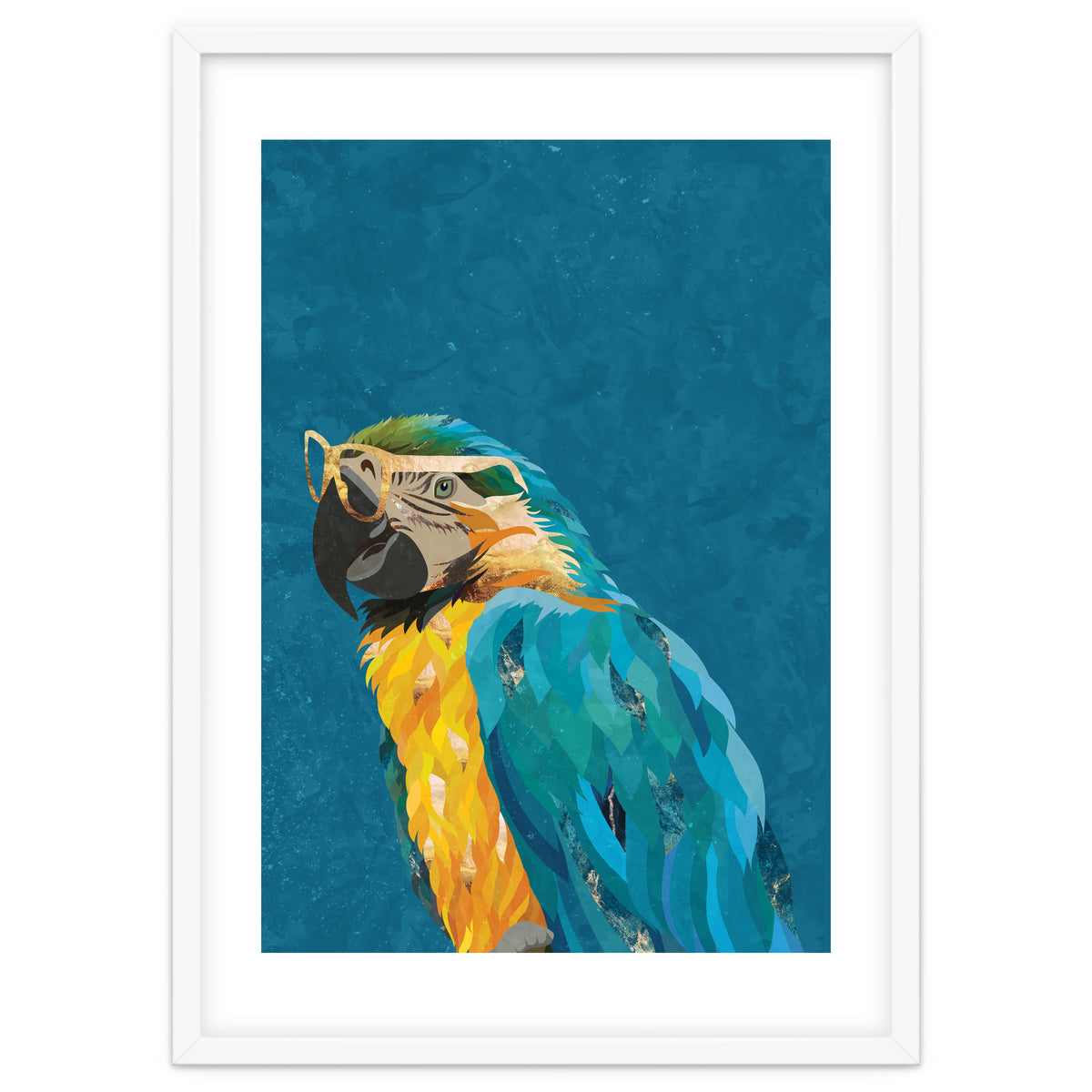 Macaw Portrait Blue Gold Glasses