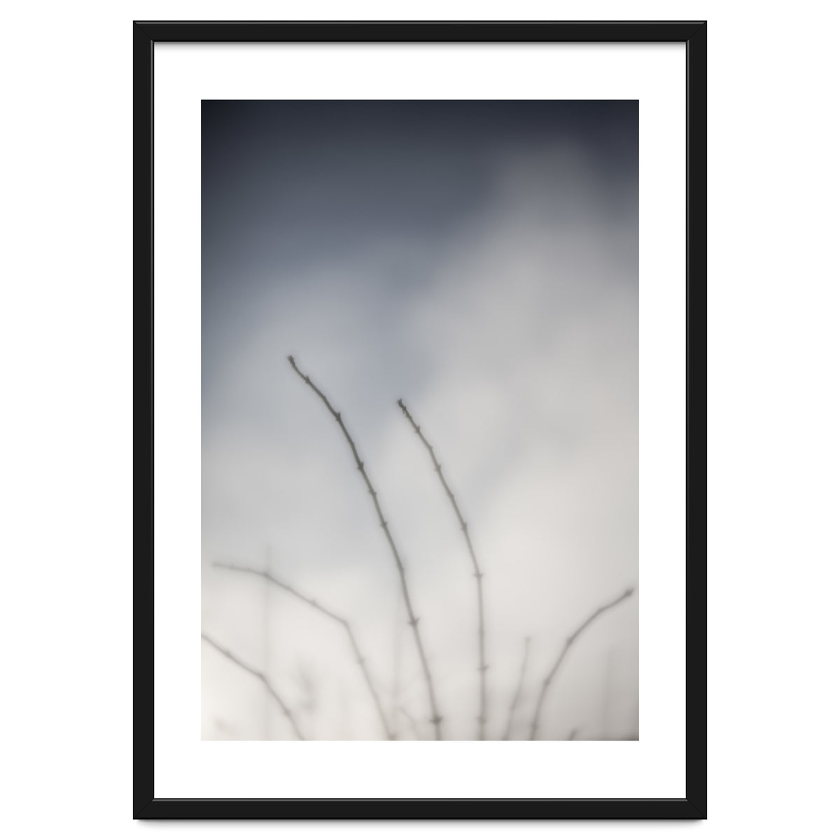 Forgotten Memories of summer #18