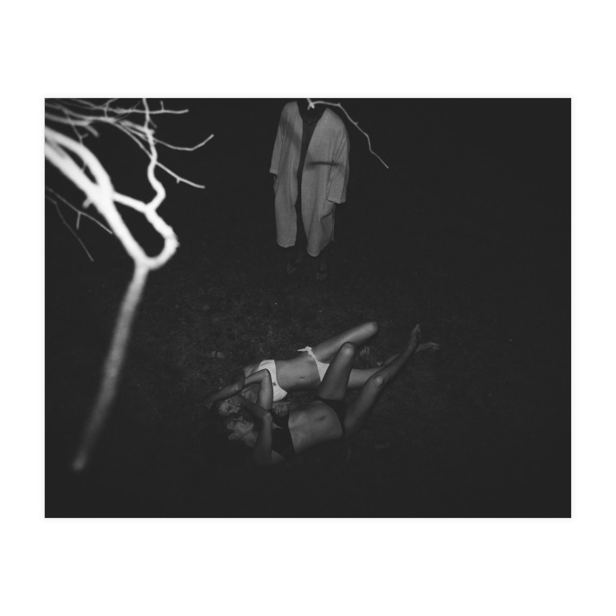 This is What it's Like to Live in a Tree House (Print Only)