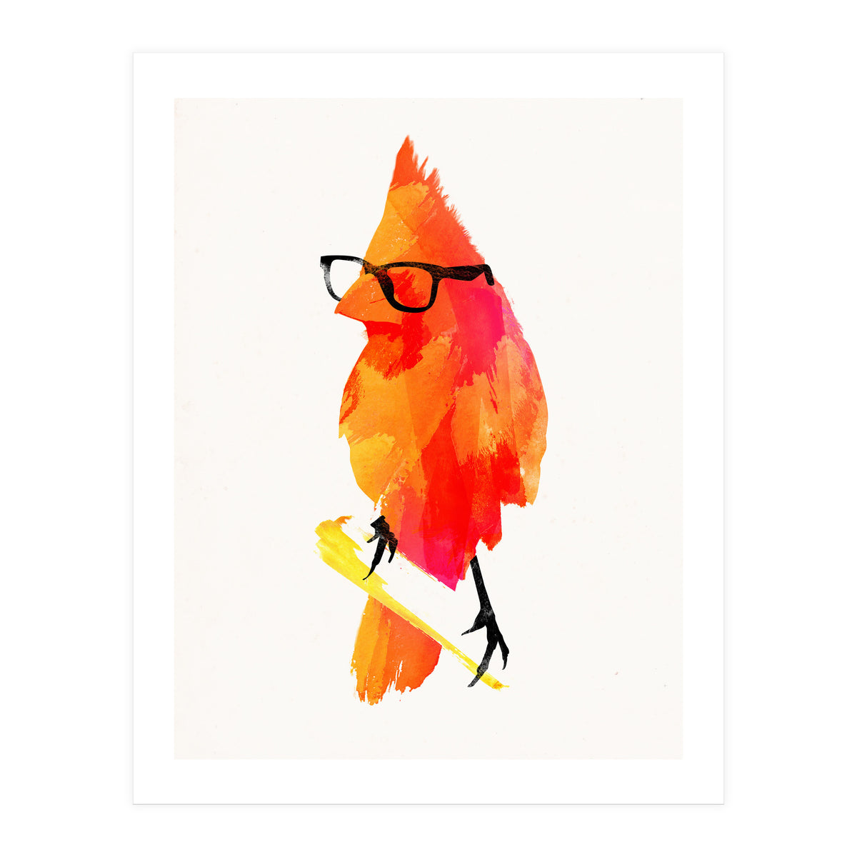 Punk Bird (Print Only)