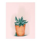Aloe in orange pot (Print Only) thumbnail