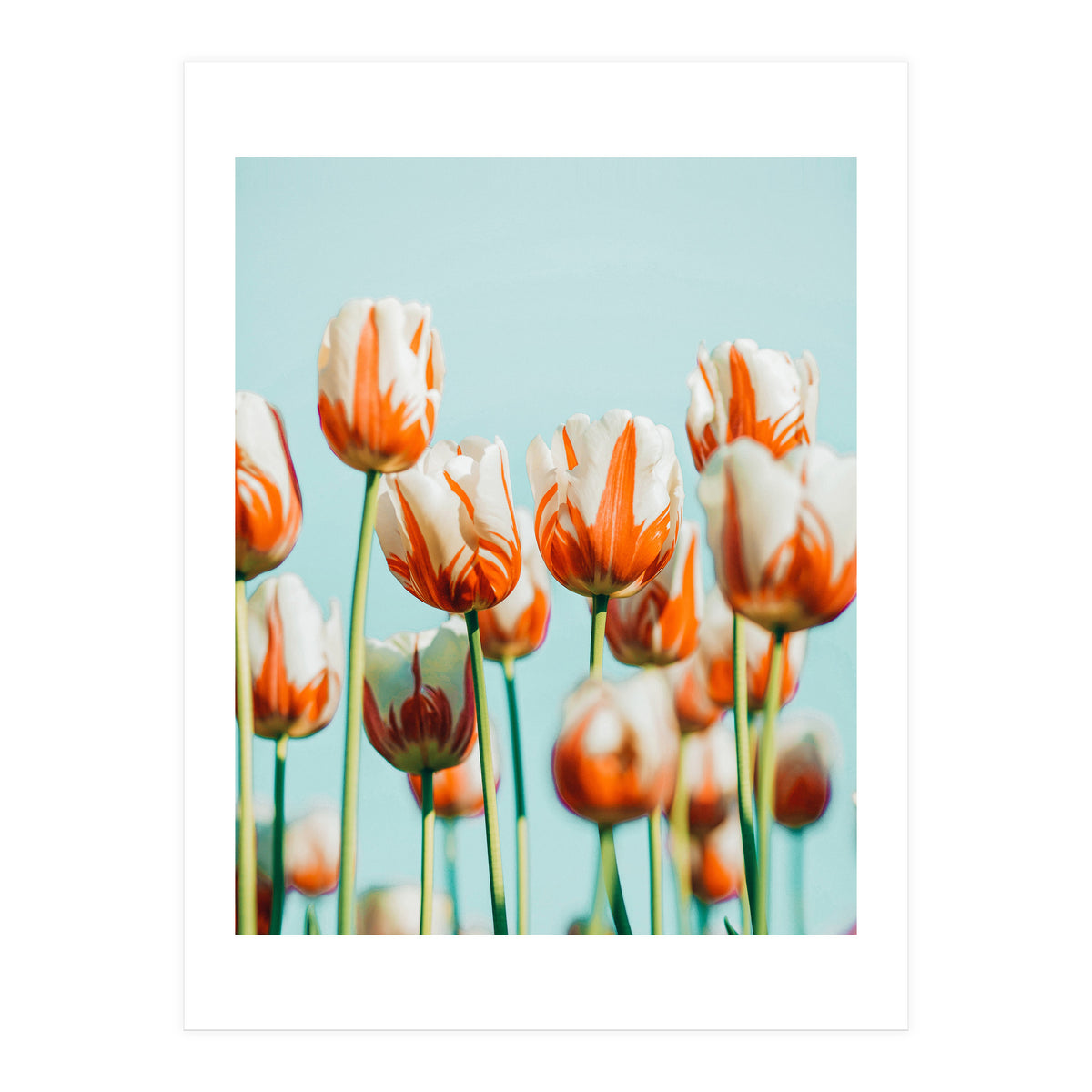 Estelle (Print Only)