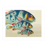 Fish Classic Designs 3 (Print Only) thumbnail