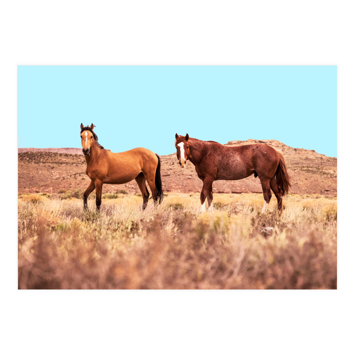 Horses #society6 #decor #buyart (Print Only)
