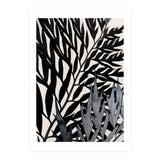 14 (Print Only) thumbnail