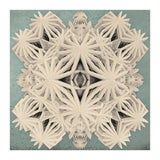 Ancient Calaabachti Filigrane (Print Only) thumbnail