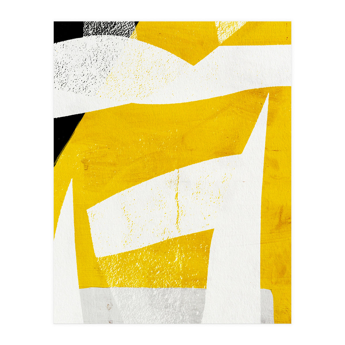 Coiote 3 (Print Only)