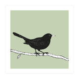 Blackbird pen drawing (Print Only) thumbnail